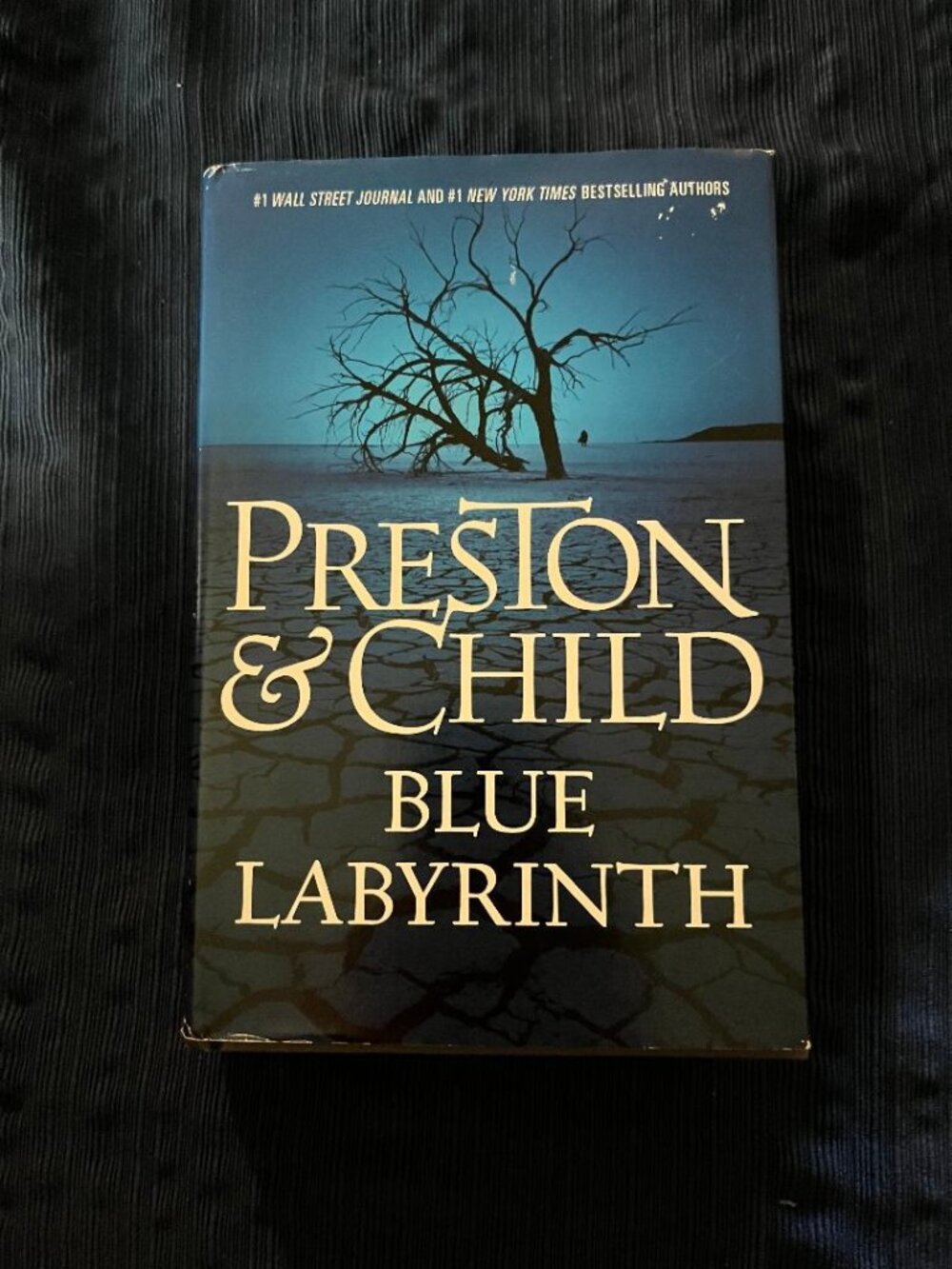 Blue Labyrinth by Preston & Child